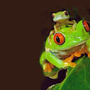 avatar of the starter
