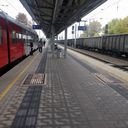 avatar of the starter