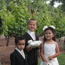 avatar of the starter