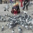 avatar of the starter