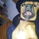 avatar of the starter