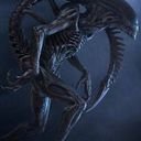 avatar of the starter