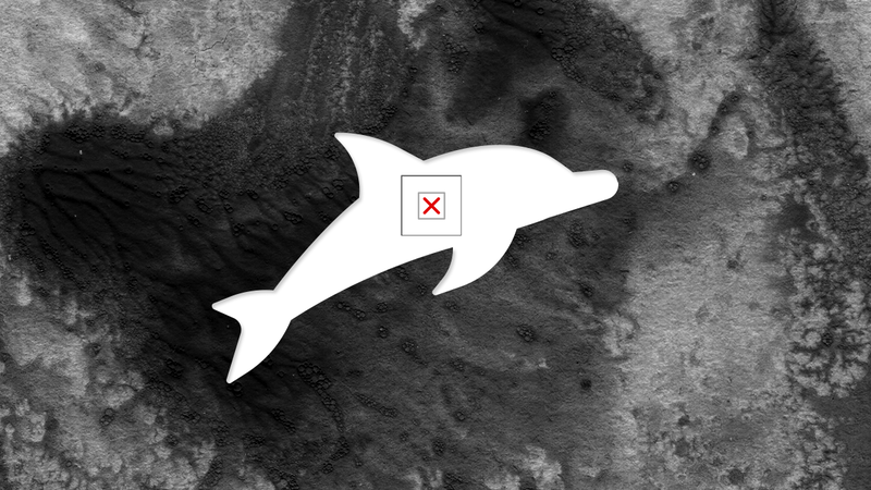 Los animales no comen petróleo