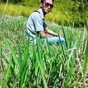 avatar of the starter