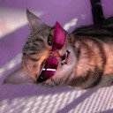 avatar of the starter