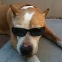 avatar of the starter