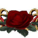 avatar of the starter