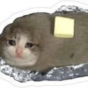 avatar of the starter