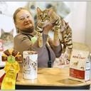 avatar of the starter