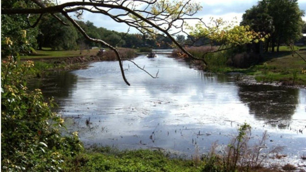 Petition · Save the Maitland, FL wetlands. Preserve Lake Charity