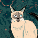 avatar of the starter