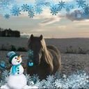 avatar of the starter