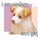 avatar of the starter