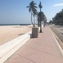 avatar of the starter