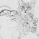 avatar of the starter