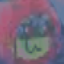 avatar of the starter