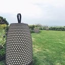 avatar of the starter