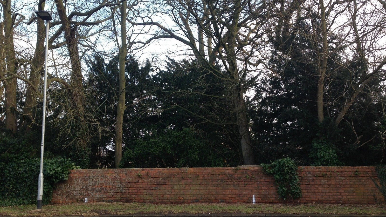 Petition · Stop the proposed access road through historic woods and