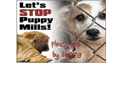 Not Needing Breeding License For Dogs Not Needing Breeding License For Dogs