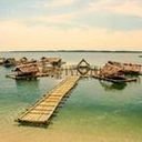 avatar of the starter