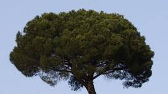 la destrucci n del paisaje