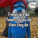 avatar of the starter