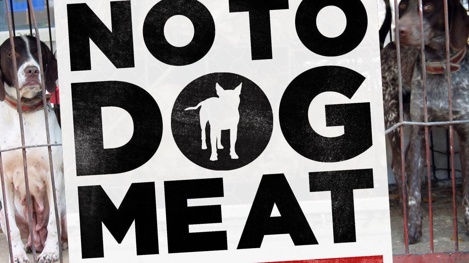 Petition · World Governments Enforce legislation to end the Illegal