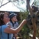 avatar of the starter