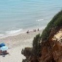 avatar of the starter