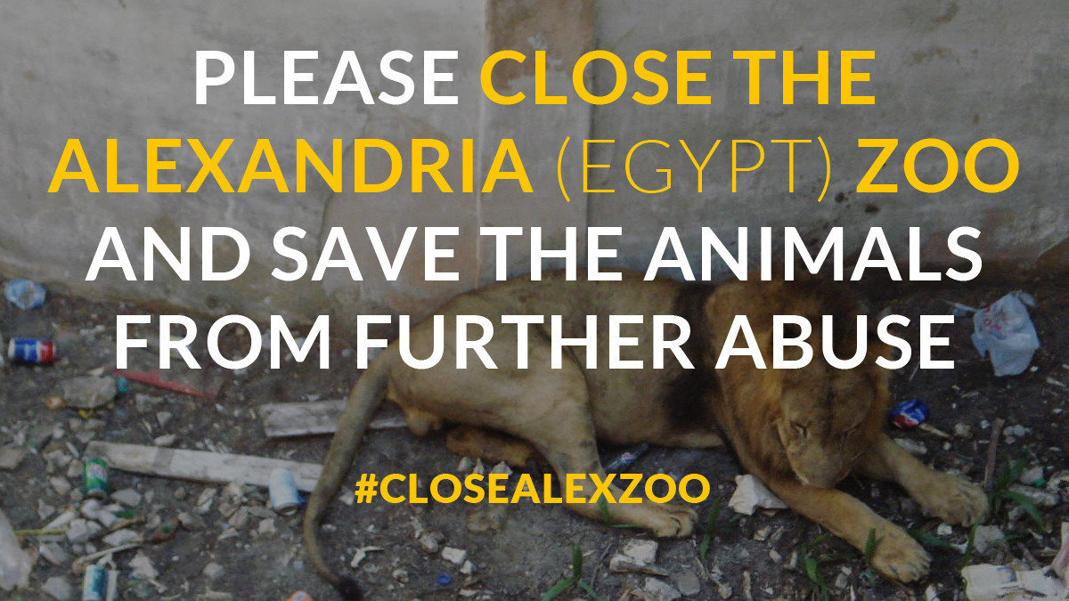 Petition · Shut Down The Alexandria Zoo! ·