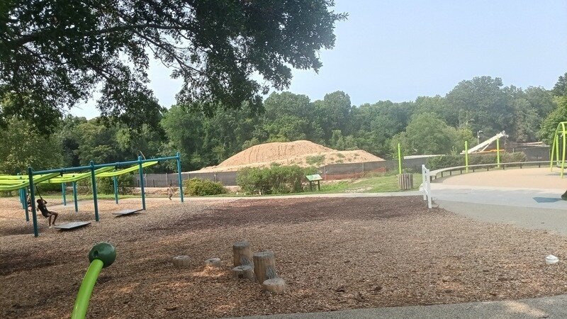 Protect Town Common from being privately leased.