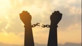 Abolish Federal Taxes and Restructure the IRS to Tax Non-Essential Goods Only