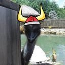 avatar of the starter