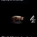 avatar of the starter