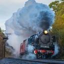 avatar of the starter