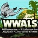 avatar of the starter