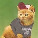 avatar of the starter