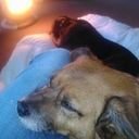 avatar of the starter