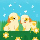 avatar of the starter