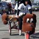 avatar of the starter