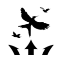 avatar of the starter
