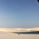 avatar of the starter