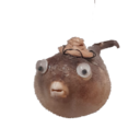 avatar of the starter