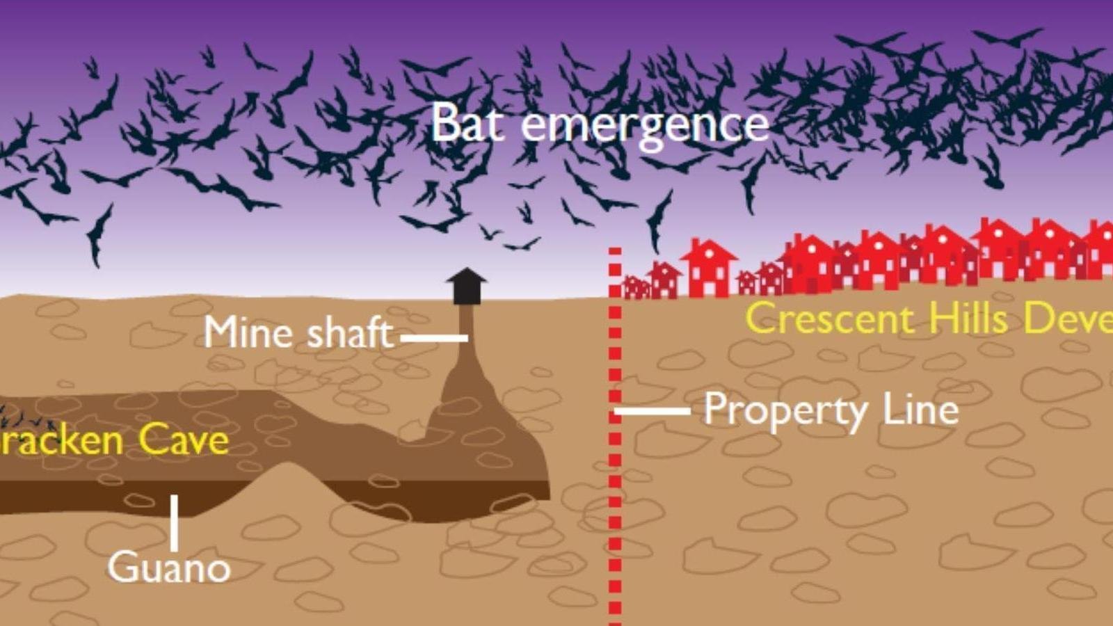 Petition · San Antonio Save Bracken Bat Cave, Stop the Crescent Hills