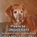 avatar of the starter