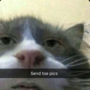 avatar of the starter