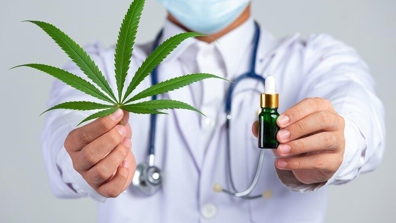 Legalize Medical Marijuana in Malaysia