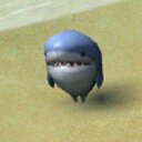 avatar of the starter