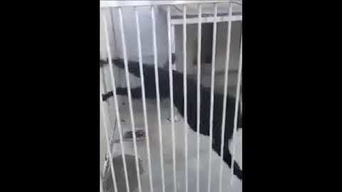 ERSTE VERÄNDERUNGEN IM TIERHEIM LEIPZIG