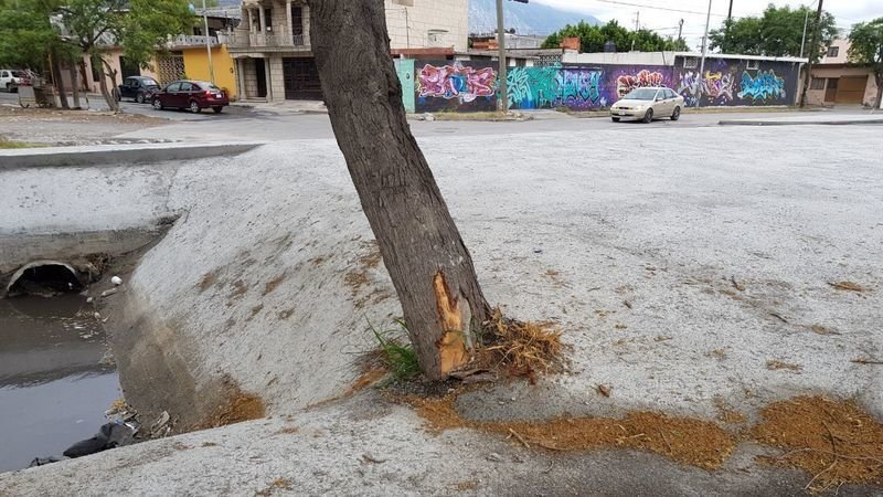 Sigue Ayuntamiento de Santa Catarina sin rectificar ¡Más Verde, menos Gris! #nomascemento